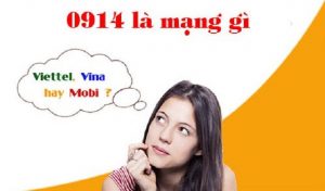 Đầu số 0914 là mạng gì? Lưu ý khi lựa chọn sim số đẹp đầu số 0914
